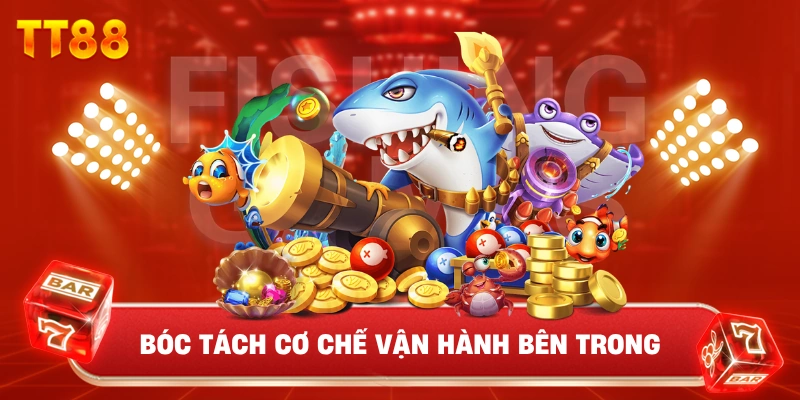 Bóc Tách Cơ Chế Vận Hành Bên Trong