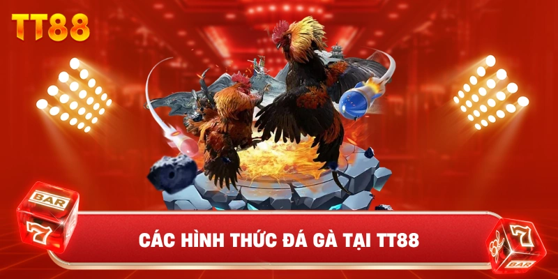 Các Hình Thức Đá Gà Tại TT88