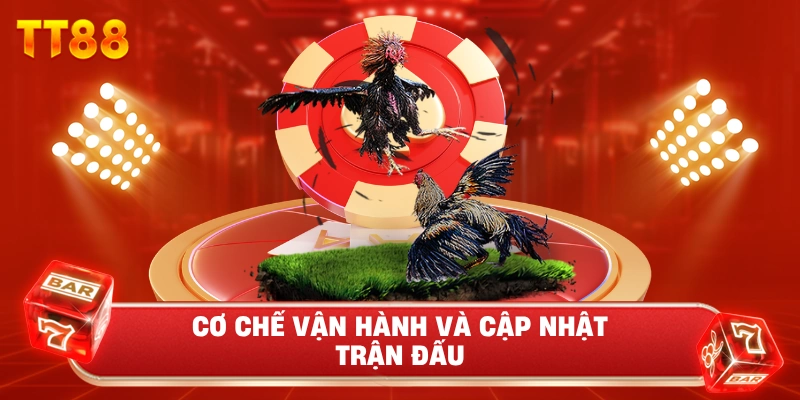 Cơ Chế Vận Hành Và Cập Nhật Trận Đấu