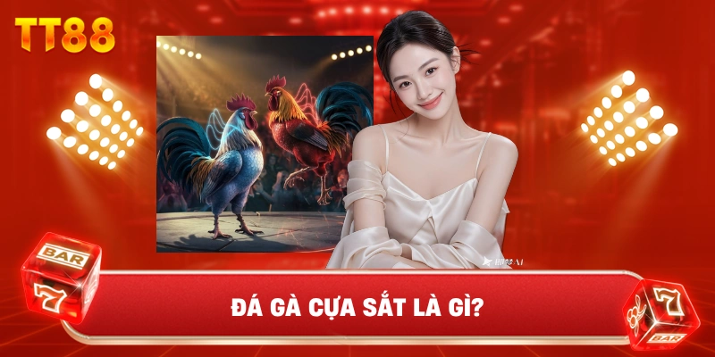 Đá Gà Cựa Sắt Là Gì?