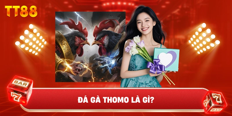 Đá Gà Thomo Là Gì?