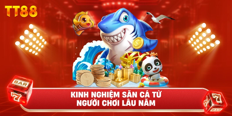 Kinh Nghiệm Săn Cá Từ Người Chơi Lâu Năm