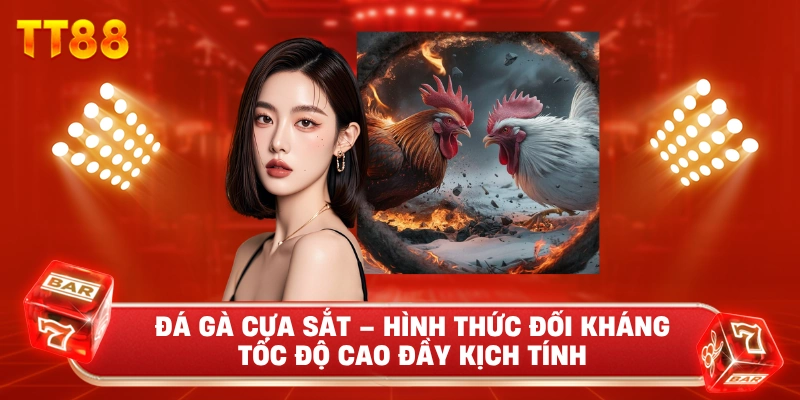 Đá Gà Cựa Sắt – Hình Thức Đối Kháng Tốc Độ Cao Đầy Kịch Tính